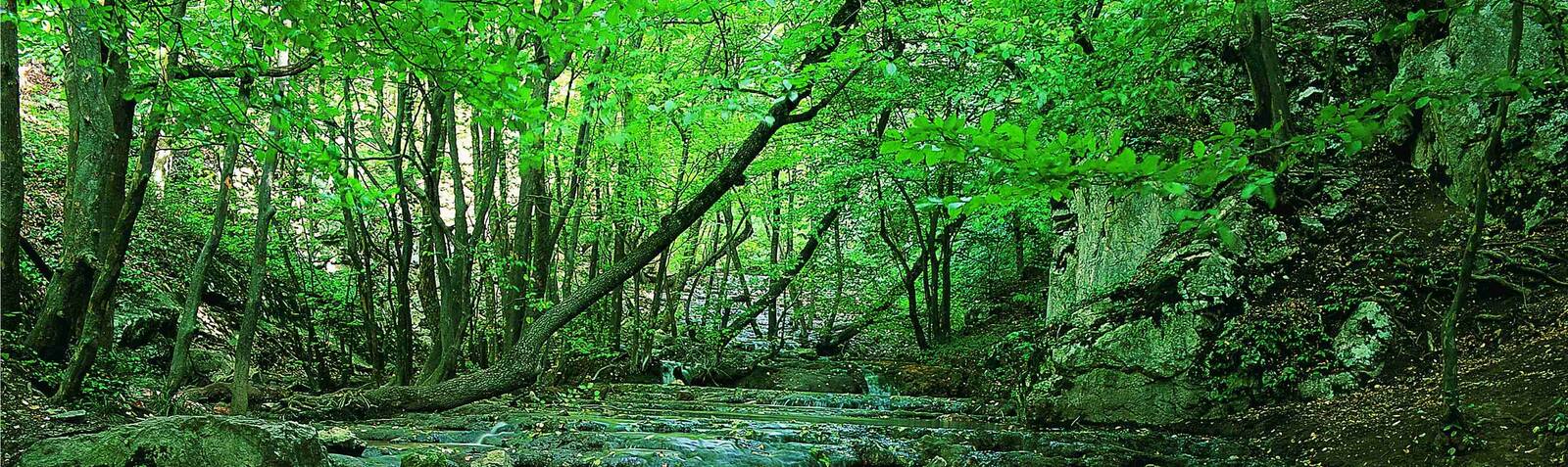 El Parque Nacional de Golestán